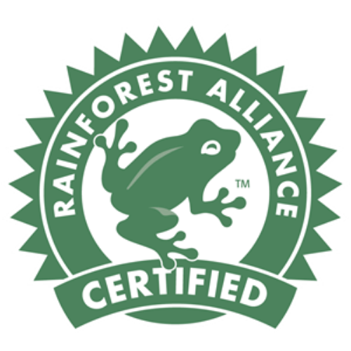 Rainforest