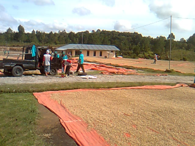 Activities and Farmer Development Programs