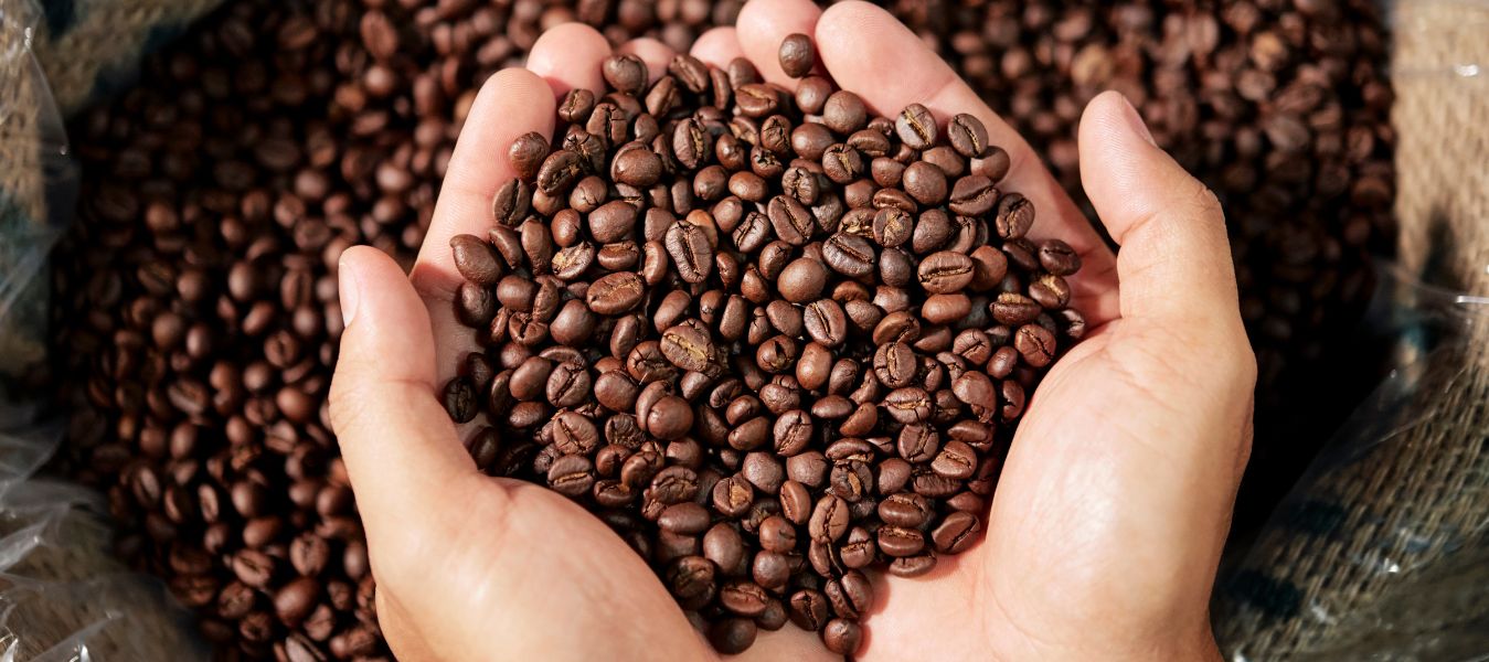 Welcome to PT. Sumatera Specialty Coffees